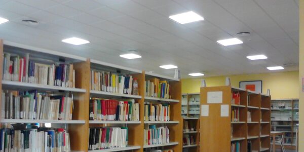 Contratación de servicios de visitas teatralizadas a bibliotecas municipales en Córdoba para grupos escolares