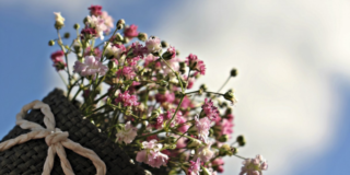 'Cordoplant', nuevo comercio de plantas, flores y semillas