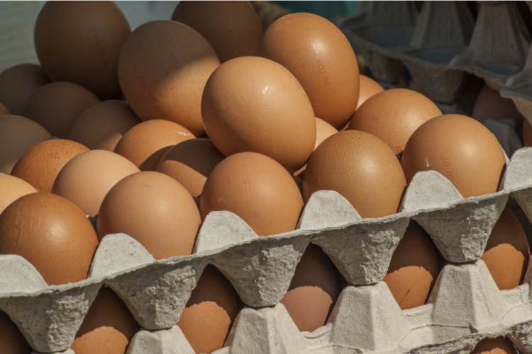 La empresa de huevos camperos Vega de la Breña solicita el registro de su marca