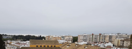 El Ayuntamiento de Córdoba busca proveedor para el servicio de mantenimiento y cuidado de las Caballerizas Municipales de la Policía Local