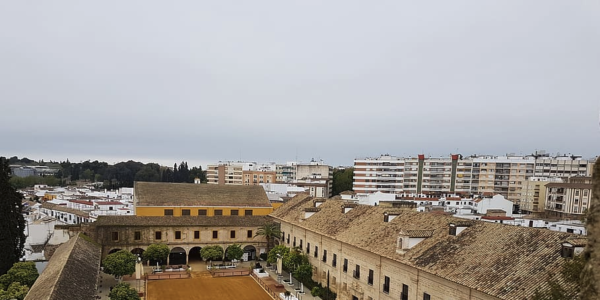 El Ayuntamiento de Córdoba busca proveedor para el servicio de mantenimiento y cuidado de las Caballerizas Municipales de la Policía Local
