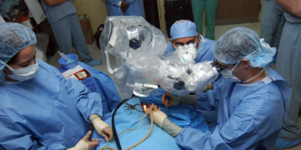 Licitación para suministro de prótesis de radiología vascular y neuroradiología en Hospital Universitario Reina Sofía