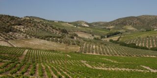 Nueva empresa hostelera para el mercado Victoria