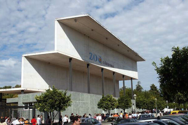 El Ayuntamiento de Córdoba busca proveedores para suministro alimenticio en el Zoo