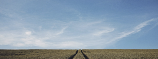 Aguacartuja SL: Innovaci&oacute;n Agr&iacute;cola en la Producci&oacute;n de Aguacates y M&aacute;s