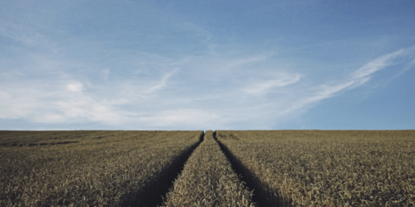 Nueva empresa para el medio rural: 'Agromatilla 2022'
