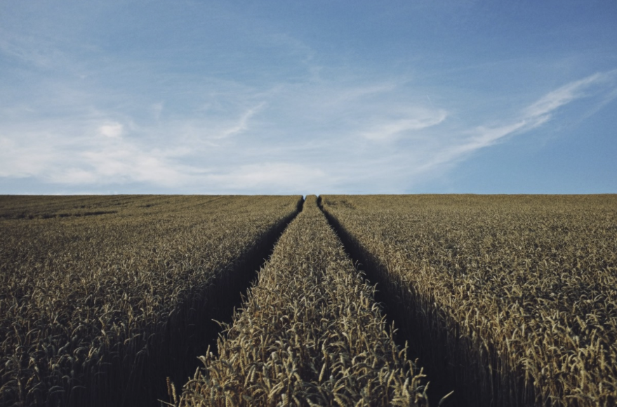 Nueva empresa para el medio rural: 'Agromatilla 2022'