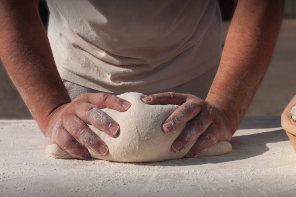 OBRADOR SAN ANTONIO 2022 SL: Nueva Panader&iacute;a y Confiter&iacute;a en C&oacute;rdoba