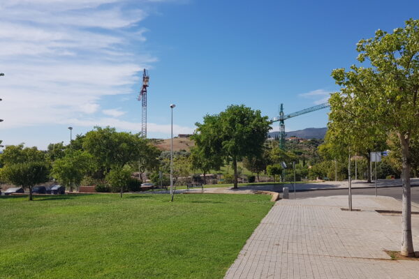 Optimización Verde: Córdoba busca Servicio de Desbroce en Zonas Verdes