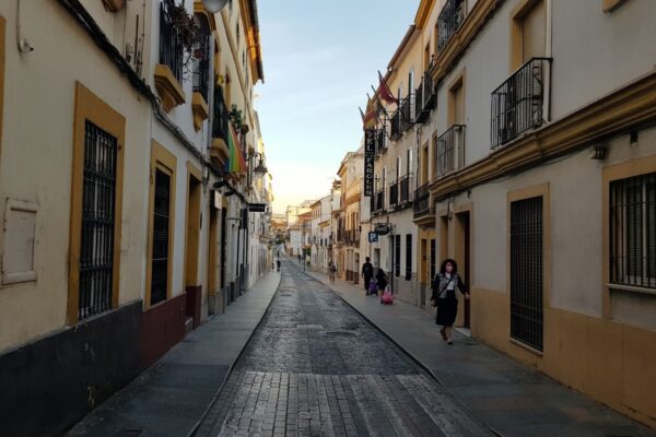 Remodelación de la Calle Alfaros en Córdoba: Licitación Abierta