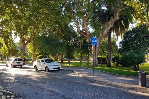 Licencia de Taxi en Córdoba Capital en Venta (95.000 €)