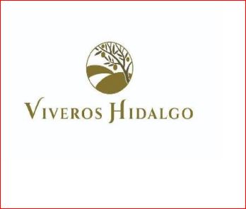 'Viveros Hidalgo' solicita el registro de su marca