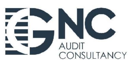 'GNC Audit &amp; Consultancy' solicita el registro de su marca