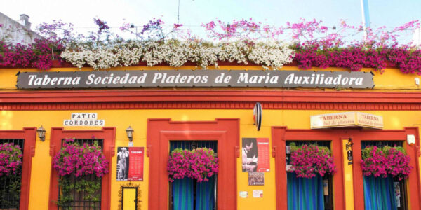 ¿Quieres saber cómo será el diseño del sello distintivo de las tabernas históricas de Córdoba?