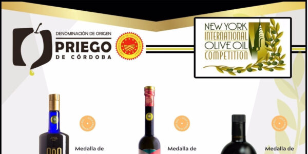 Premios para tres aceites de la DOP Priego de Córdoba en el Concurso Internacional de Nueva York