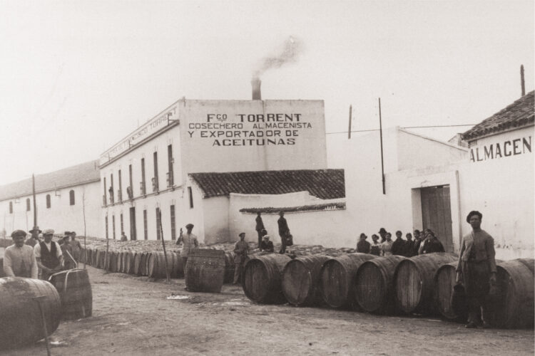 Las empresas más antiguas de Córdoba: Aceitunas Torrent, innovación agraria desde 1898