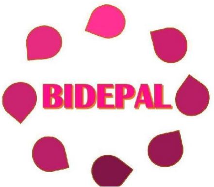 Bidepal, nueva consultora psicológica