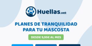 Nace Huellas.vet, un centro veterinario pensando para el ahorro familiar
