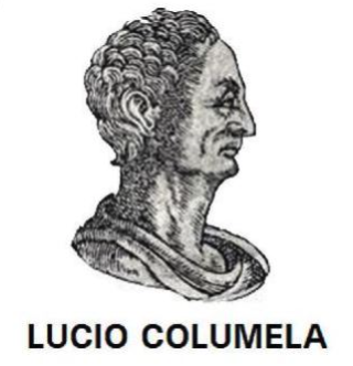 Lucio Columela, nueva marca de aceites