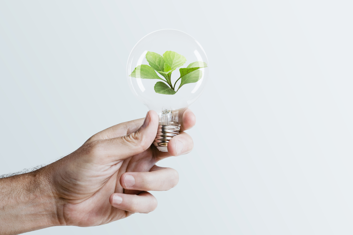 ALMA ENERGY ASESORIA ENERGETICA SL: Impulsando el Comercio Mayorista en Córdoba