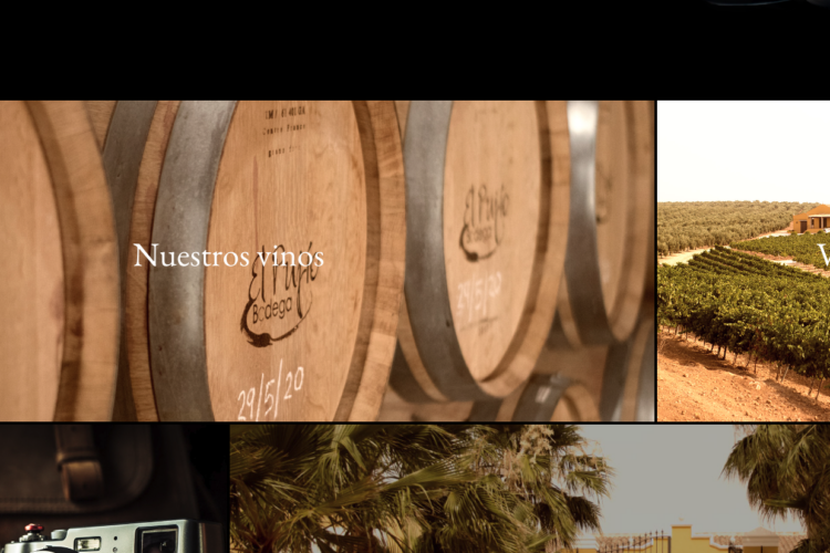 Viñedos Campo de Aras SL, una nueva bodega de vinos en Lucena