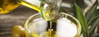 CITEA OLEICOLA SL: producción y comercialización de aceite de oliva