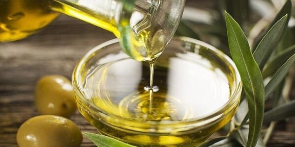 CITEA OLEICOLA SL: producción y comercialización de aceite de oliva