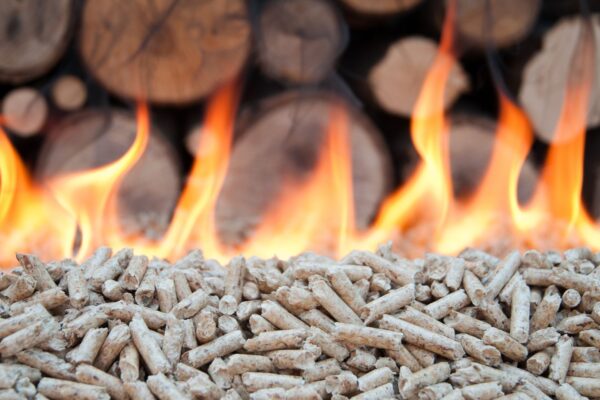 Licitación de suministro e instalación de calderas de biomasa y estufas de pellets para centros de uso público gestionados por la Agencia de Medio Ambiente y Agua de Andalucía.