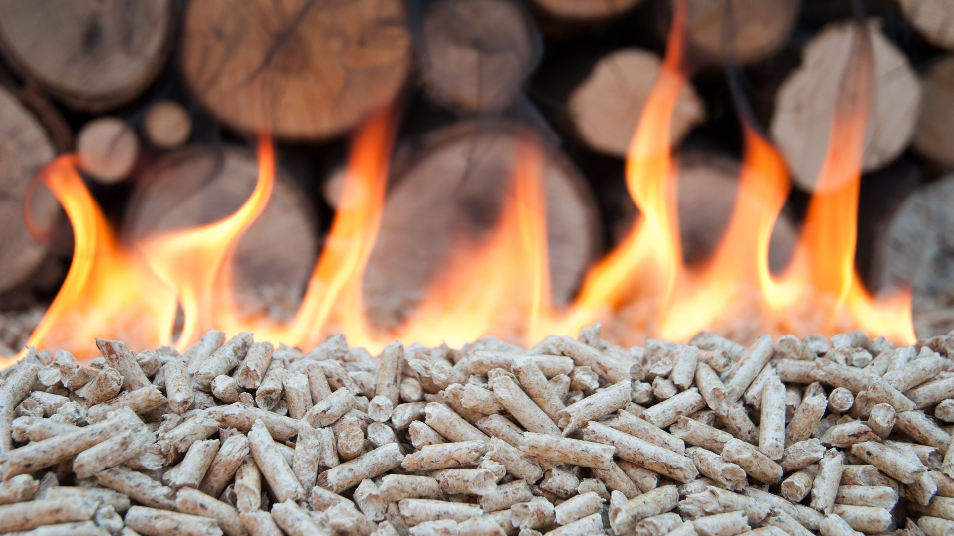 Licitación de suministro e instalación de calderas de biomasa y estufas de pellets para centros de uso público gestionados por la Agencia de Medio Ambiente y Agua de Andalucía.