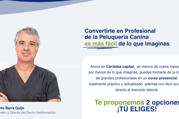 Curso de Peluquería Canina en Córdoba: especializarse en una profesión en pleno crecimiento y demanda