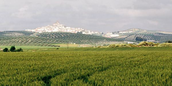 Descubre a Heraclio Inversiones SL: Impulsando el Sector Agrícola en Córdoba