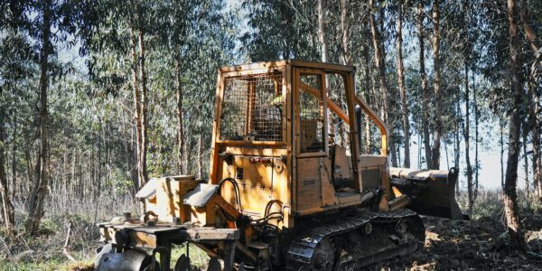 Licitación de Servicio de Mantenimiento de Máquina Forestal IOFP-UPPS