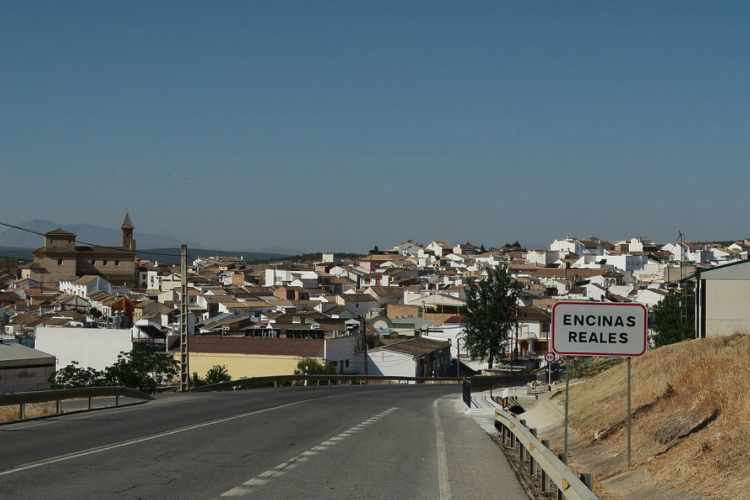 DESFOCOR NATURA SL.: Cuidando y Preservando la Naturaleza de Córdoba