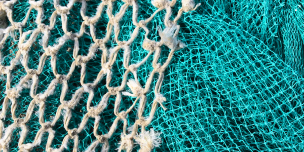 Delicias del Océano, una nueva empresa de distribución de pescados y mariscos