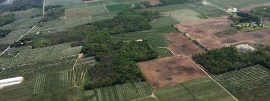 Subasta y Concurso Público: Adquisición de Suelo Residencial Protegido en Andalucía - Junio 2023