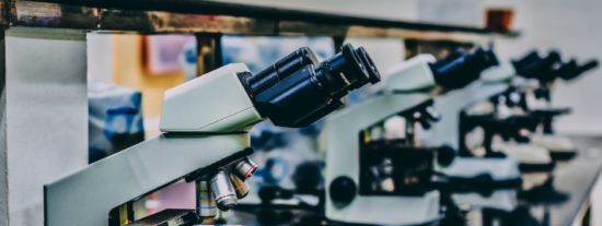 AB SISBIO SL: Nueva Empresa en Córdoba Dedicada a la Investigación y Comercialización de Productos Biológicos y Químicos