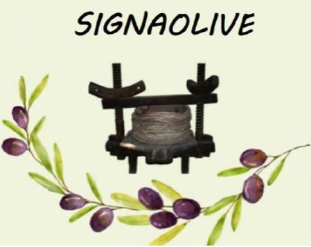 SIGNAOLIVE: El nuevo sabor del tradicional aceite de oliva