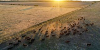 AGROGRANADOS RUIZ SL: Inicia operaciones en el sector agrícola en Iznájar