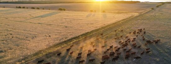 AGROGRANADOS RUIZ SL: Inicia operaciones en el sector agrícola en Iznájar