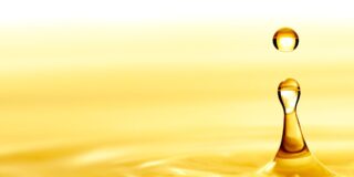 Baco Dionisio Inversiones SL: Valorando subproductos de la refinación de aceites