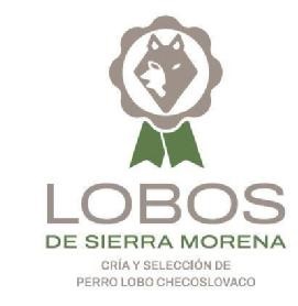 LOBOS DE SIERRA MORENA CRÍA Y SELECCION DE PERRO LOBO CHECOSLOVACO: nueva marca de cría canina en Córdoba