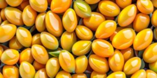 PARPALANA OLIVE RANCH SL: Cultivando la Tradici&oacute;n Agr&iacute;cola en C&oacute;rdoba