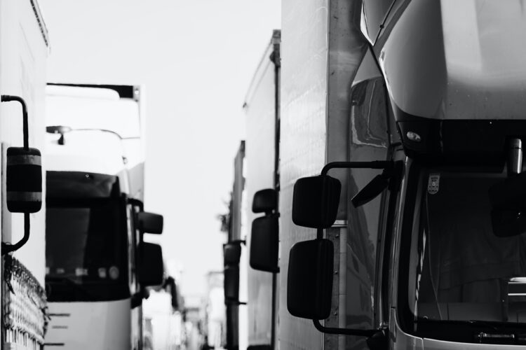 "Rochel Transporte y Logística" Solicita Registro de Marca para Expandir Sus Servicios