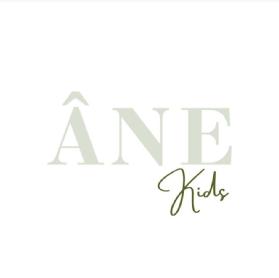 Presentada solicitud para la marca "ANE Kids" con un diseño vibrante y prometedor