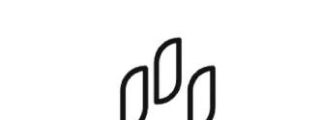 Pizzarelli España SL solicita registro de marca nacional para Papaggio