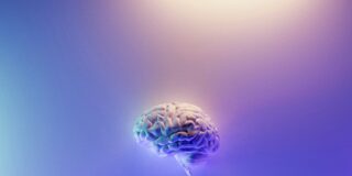 Mesana Psicología SL: Innovación y Desarrollo en Psicología