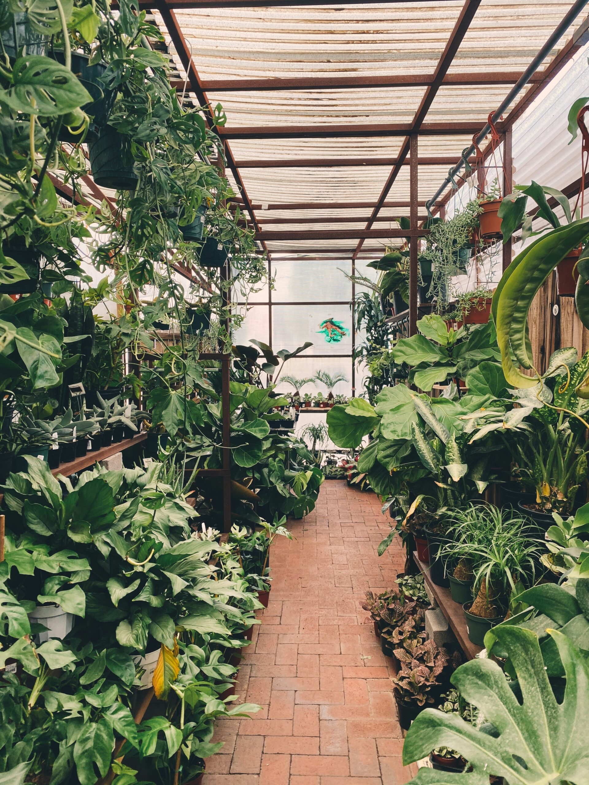 VIVEROS CARRETERO Y CAMARGO SL: Cultivando Naturaleza en Córdoba