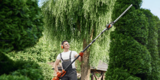 POOLMAX CORDOBA SL: Expertos en Mantenimiento Integral para Comunidades y Jardines