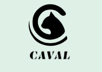 CAVALDREAMS SL Solicita el Registro de la Marca "CAVAL": Un Paso hacia la Exclusividad en el Sector de Joyas de Fantasía