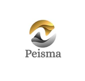 La Marca "Peisma" solicita Registro en España: Innovación en Juegos y Juguetes